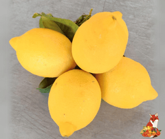 Limone da Zagara Bianca