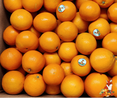 Arancia Navel da Spremuta