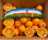 Arancia Tarocco da Spremuta