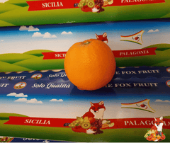 Arancia Varietà Vaniglia