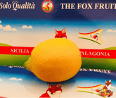 Limone da Zagara Bianca