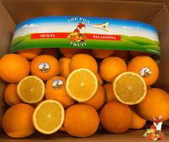 Arancia Navel da tavola